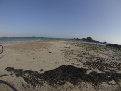 ©Tous droits réservés. D.C.