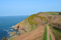 ©Tous droits réservés. D.C.