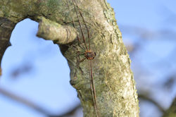 ©Tous droits réservés. D.C.
