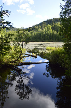 ©Tous droits réservés. D.C.