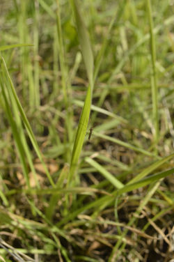 ©Tous droits réservés. D.C.