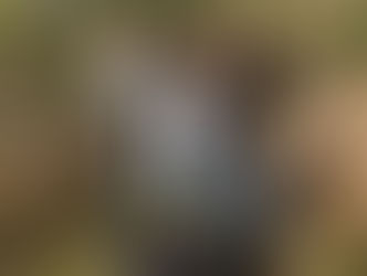 New addition this October