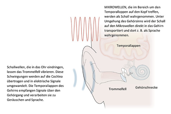 v2k schaubild-001.jpg