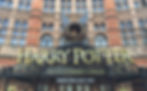 Harry Potter nest