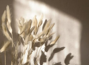 08 - O paradoxo da alegria