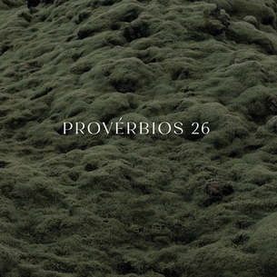 Provérbios 26 - A sabedoria instrui