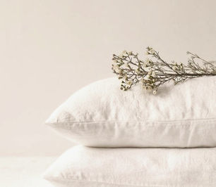 22 - Bondosos como o Mestre