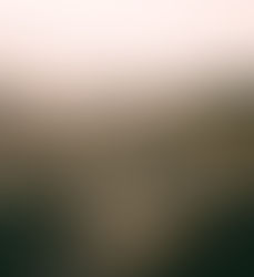 Dia 2 - Uma voz, uma canção, um caminho