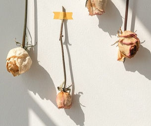 12 - Deus também usa processos