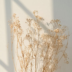 04- Dias de desânimo