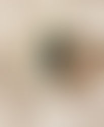 13 - Paciência que leva a perseverança