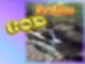 praise-2-485pxX364px