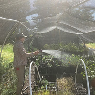 sanhedrin shade structure.jpg