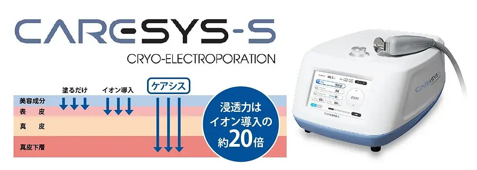 caresys1.webp