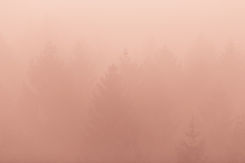 Dust Storm