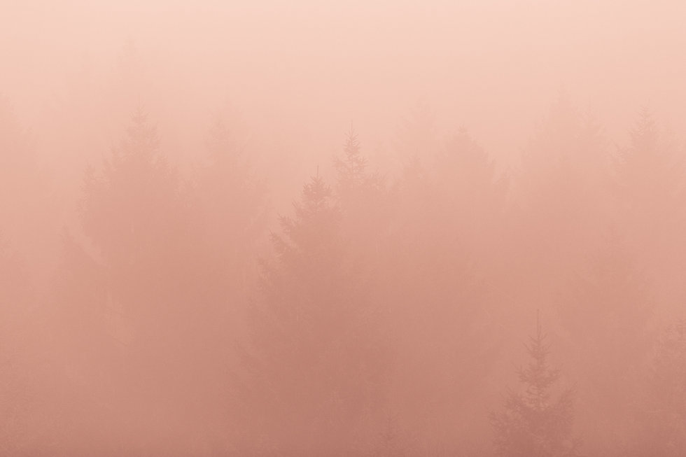 Dust Storm