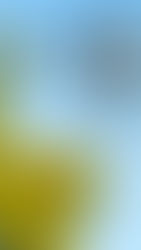 IF800 equipped with 65R