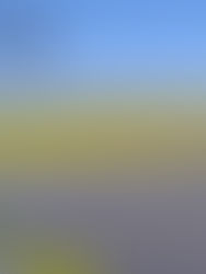 IF1200 performing Solar panel inspection