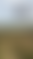 IF1200 flying with LiDAR