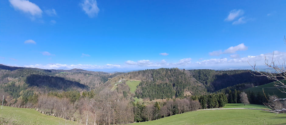 Svetovni dan zdravja - kaj bom danes naredil/-a zase?