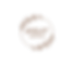 vvvv