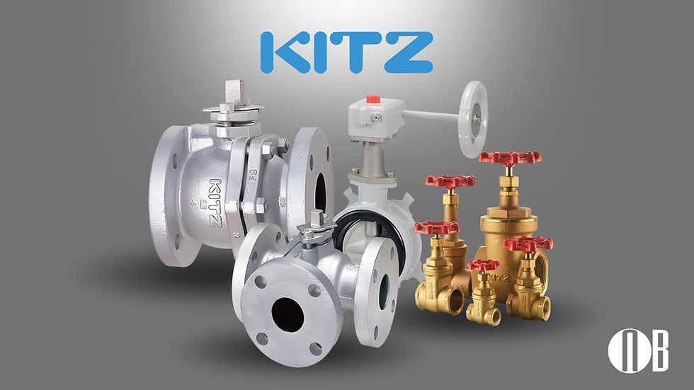 Assorted KITZ industrial valves including ball, butterfly, and gate types with flanged connections for industrial piping systems