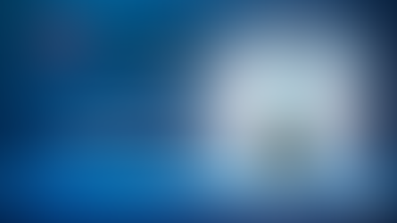 Toyo Valve 562-UNSG / 10L2-N-U Butterfly Valve – Japanese gear-operated ductile iron valve