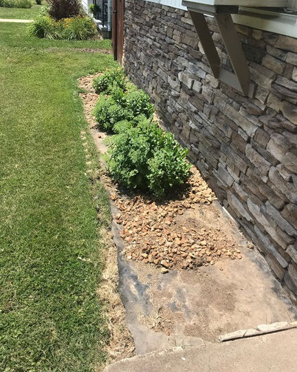 landscaped garden bed with rocks