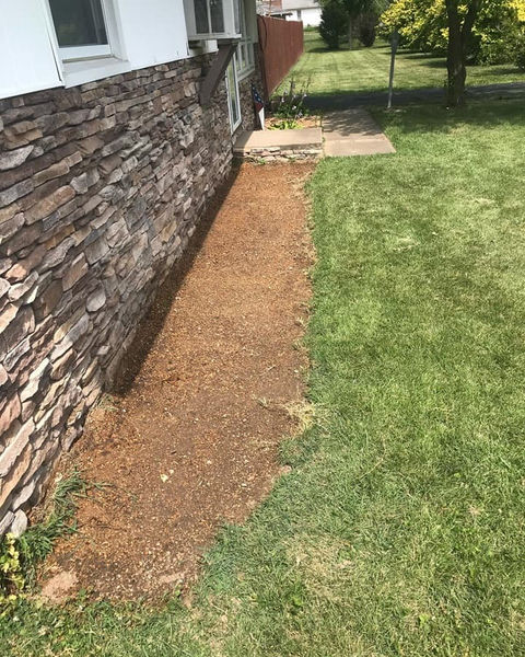 Trimmed down grass in the backyard
