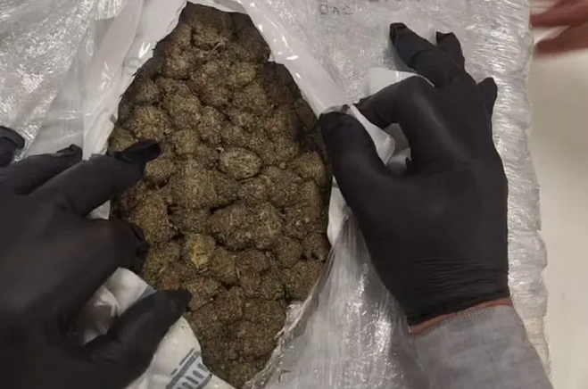 La Aduana secuestró 129 kilos de marihuana en Ezeiza y Misiones en un solo día