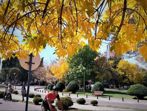 Clima: después de un lunes primaveral el martes llega con aire frío en Neuquén