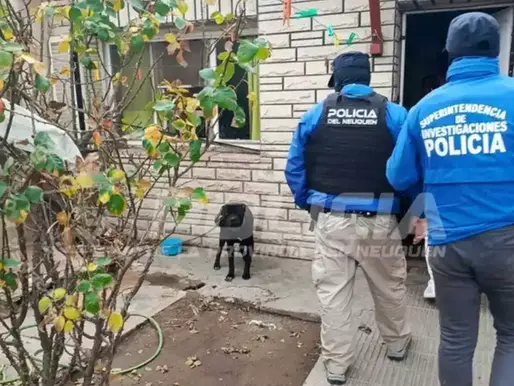 Pitbull fue rescatado tras un allanamiento por maltrato animal: vivía atado, sin agua ni comida