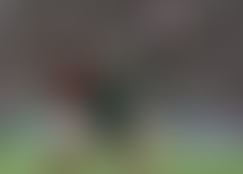 Palmeiras vs. Flamengo, por la final de la Copa Libertadores 2025