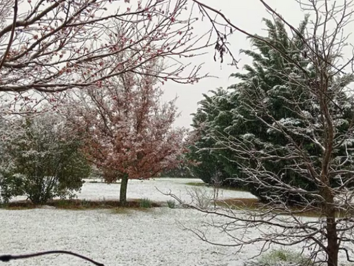 Sorpresa en Córdoba: cayó mucha nieve y cerraron el Camino de las Altas Cumbres.