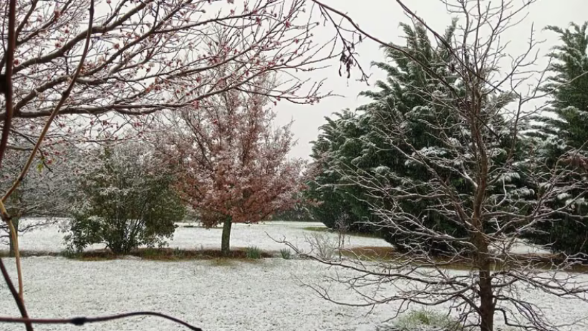 Sorpresa en Córdoba: cayó mucha nieve y cerraron el Camino de las Altas Cumbres.