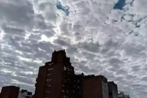 Clima: martes templado con viento y nubes en Neuquén