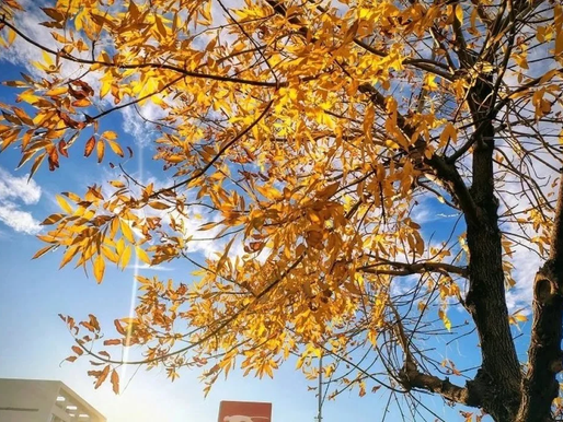 Clima: Semana con sol y heladas