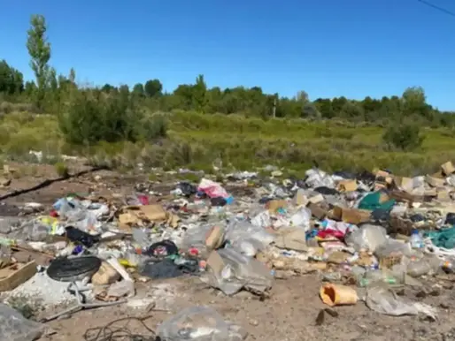 Multas más altas y retención de licencias: el plan de la ‘muni’ de Neuquén para frenar a los mugrientos