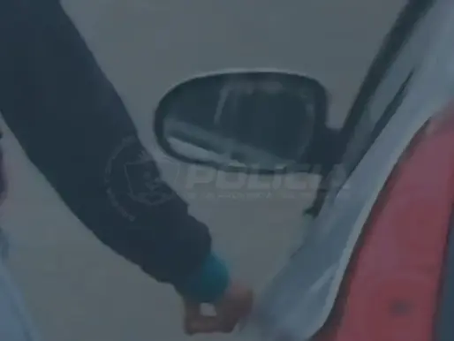 Monitoreo Urbano la detectó cuando intentaba abrir autos en Valentina Sur y terminó detenida