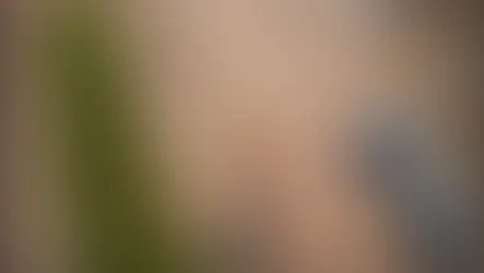 Cuenca XV: "Quiero saber quiénes fueron y que se hagan responsables": habló la dueña de la perrita atropellada por un patrullero