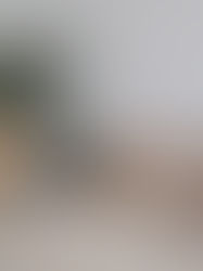 materiais naturais na decoração