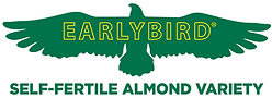 Earlybird logo for homepage.jpg