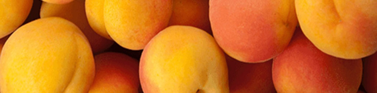 Apricots_edited.jpg