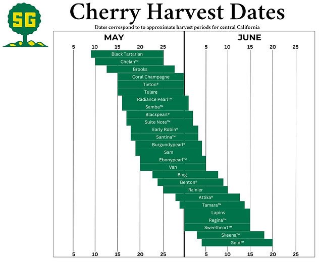 Cherry Trees | Sierra Gold Nurseries