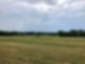 horseboarding7.jpg
