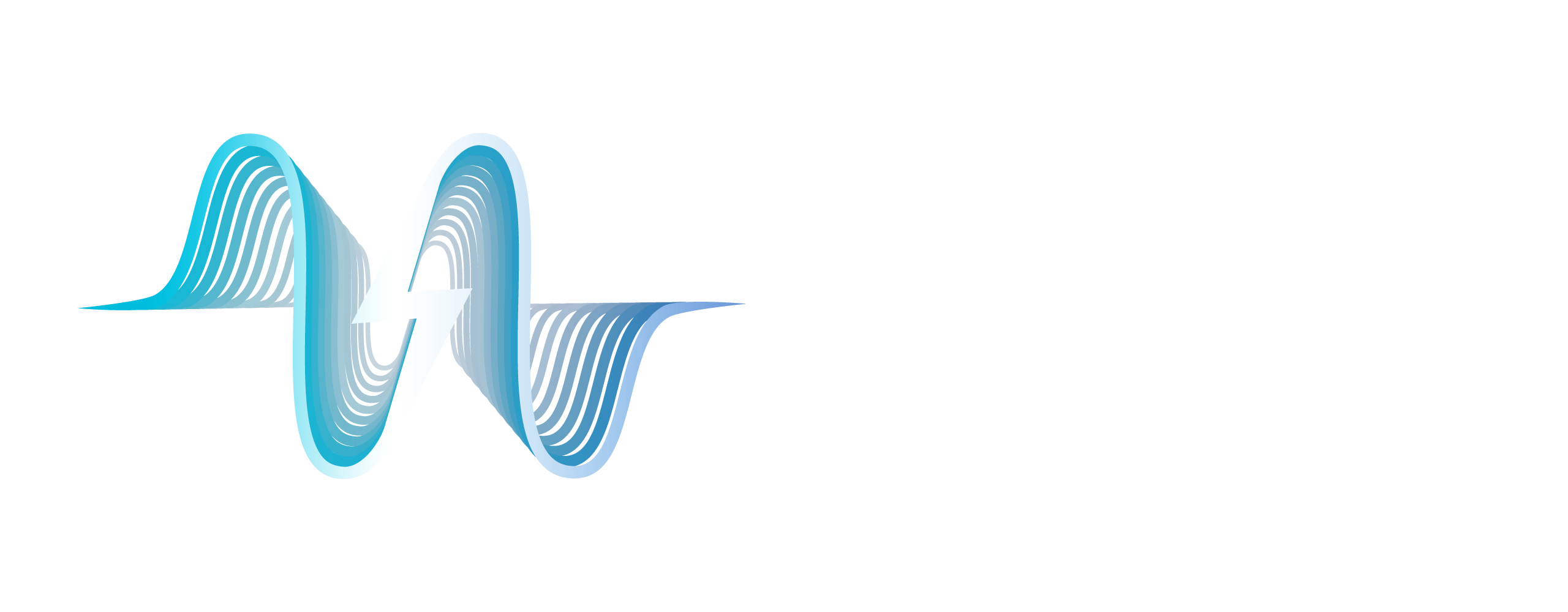 RST-White-Logo-Transparent.png