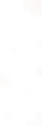 About-Background.png