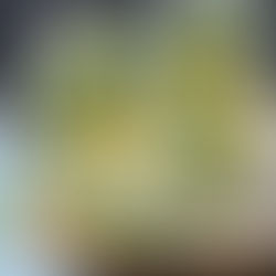 Eau infusée Sarriette et citron