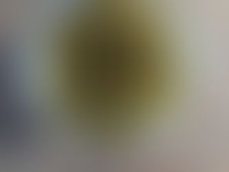 Recette de Salicorne en Lactofermentation