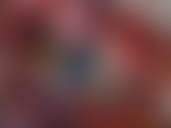 La Vigne Rouge : Trésor de l'automne